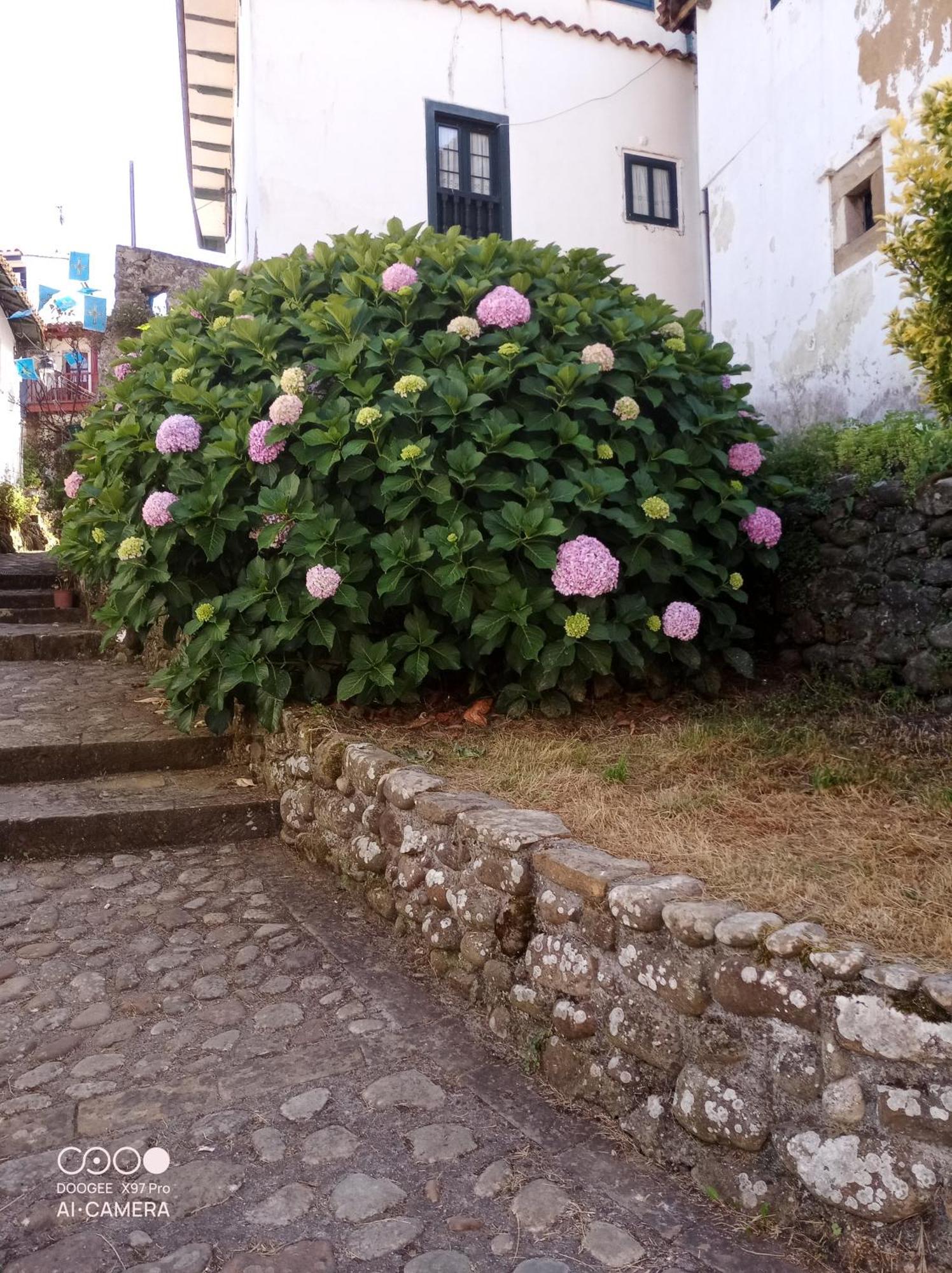 Tazones 79 Vut6993As Exterior foto
